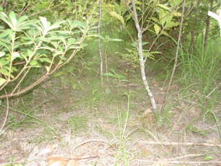 Dsc01324