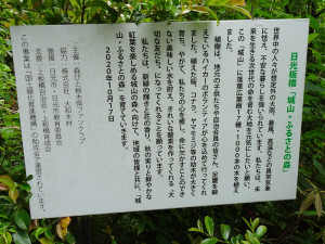 Dsc00926
