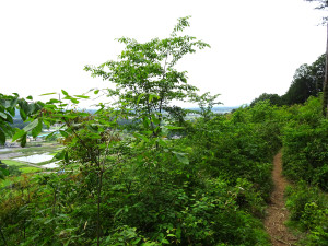 Dsc00935