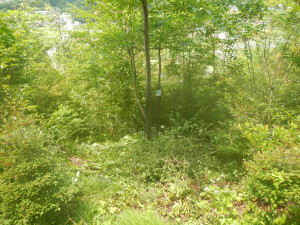 Dscn2660