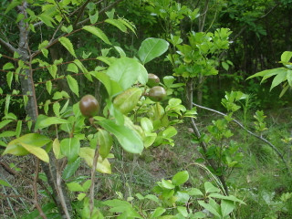 Dsc01354
